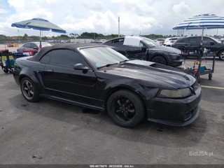FORD FORD MUSTANG GT