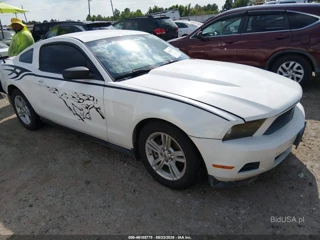 FORD FORD MUSTANG V6