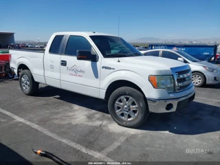 FORD FORD F-150 XLT