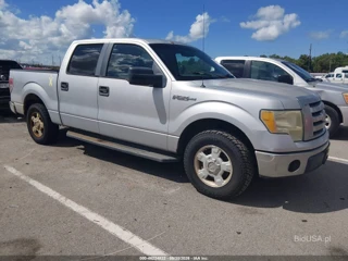 FORD FORD F-150 FX2 SPORT/HARLEY-DAVIDSON/KING RANCH/LARIAT/PLATINUM/XL/XLT
