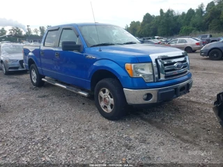 FORD FORD F-150 XLT