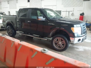 FORD FORD F-150 XLT