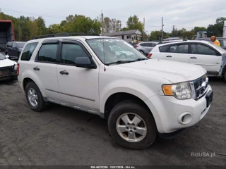FORD FORD ESCAPE XLS