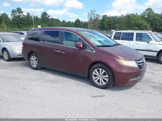 HONDA HONDA ODYSSEY SE