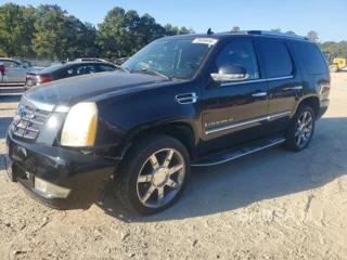 CADILLAC ESCALADE LUXURY