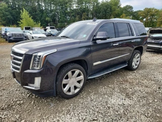 CADILLAC ESCALADE LUXURY