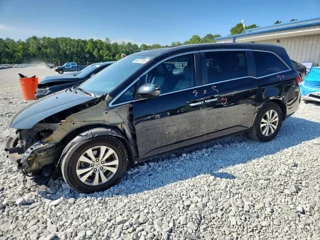 HONDA ODYSSEY EXL