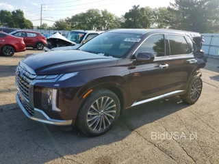 HYUNDAI PALISADE CALLIGRAPHY