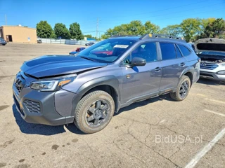 SUBARU OUTBACK WILDERNESS
