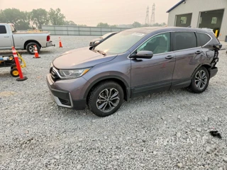 HONDA CR-V EX