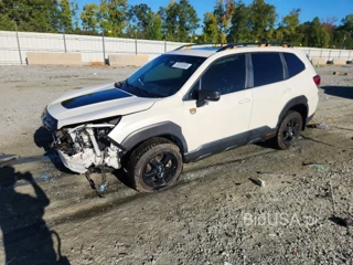 SUBARU FORESTER WILDERNESS