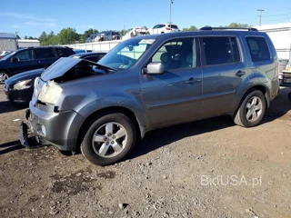 HONDA PILOT EXL