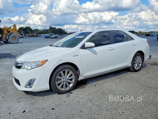 TOYOTA CAMRY HYBRID XLE
