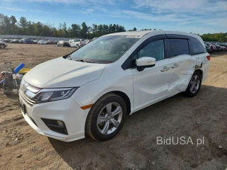 HONDA ODYSSEY EXL
