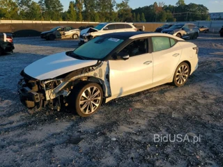 NISSAN MAXIMA PLATINUM