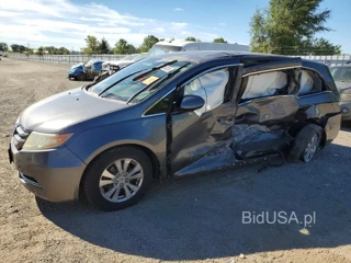 HONDA ODYSSEY EX