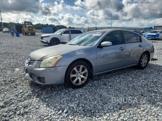 NISSAN MAXIMA SE/SL