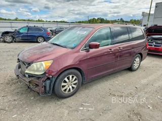 HONDA ODYSSEY EX