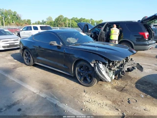 FORD FORD MUSTANG V6