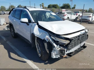 TOYOTA TOYOTA RAV4 XLE