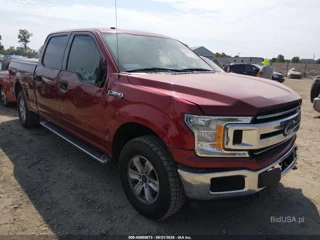 FORD FORD F-150 XLT