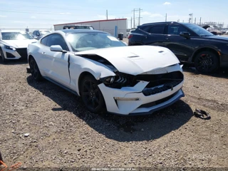 FORD FORD MUSTANG ECOBOOST FASTBACK