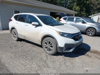 HONDA HONDA CR-V AWD EX