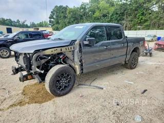 FORD F150 XLT