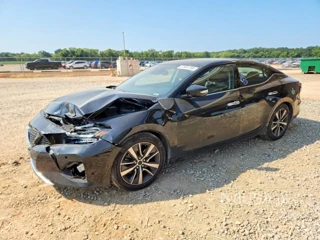 NISSAN MAXIMA SV