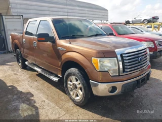 FORD FORD F-150 XLT
