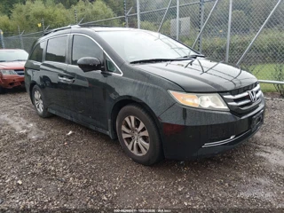HONDA HONDA ODYSSEY EX-L