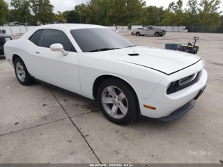 DODGE DODGE CHALLENGER SXT