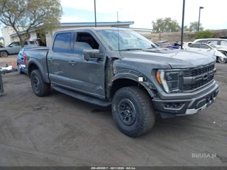 FORD FORD F-150 RAPTOR