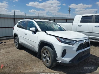 TOYOTA TOYOTA RAV4 XLE