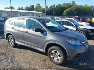 HONDA HONDA CR-V LX