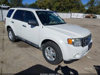 FORD FORD ESCAPE XLT
