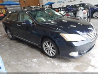 LEXUS LEXUS ES 350