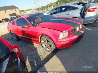 FORD FORD MUSTANG GT
