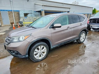 HONDA CR-V EX