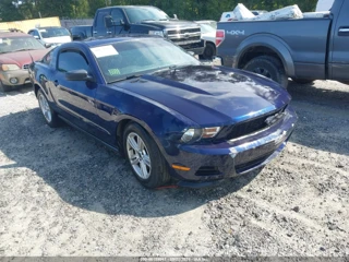 FORD FORD MUSTANG V6