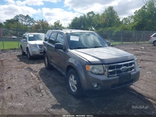 FORD FORD ESCAPE XLT