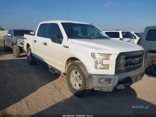 FORD FORD F-150 XL