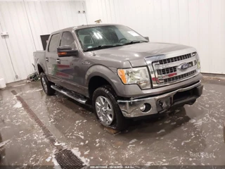 FORD FORD F-150 XLT