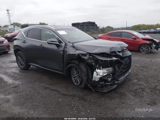 LEXUS LEXUS NX 350