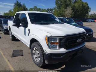 FORD FORD F-150 POLICE RESPONDER XL