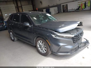 HONDA HONDA CR-V EX-L AWD