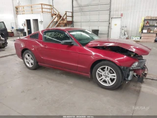 FORD FORD MUSTANG V6