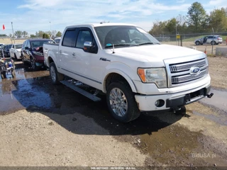 FORD FORD F-150 FX4/HARLEY-DAVIDSON/KING RANCH/LARIAT/PLATINUM/XL/XLT