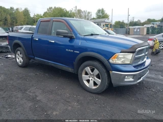 DODGE DODGE RAM 1500 SLT/SPORT/TRX