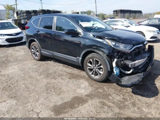 HONDA HONDA CR-V AWD EX-L